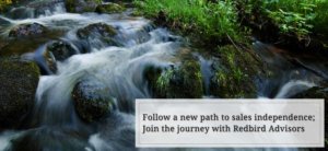 Follow a new path to sales independence
