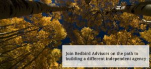 Join Redbird Advisors